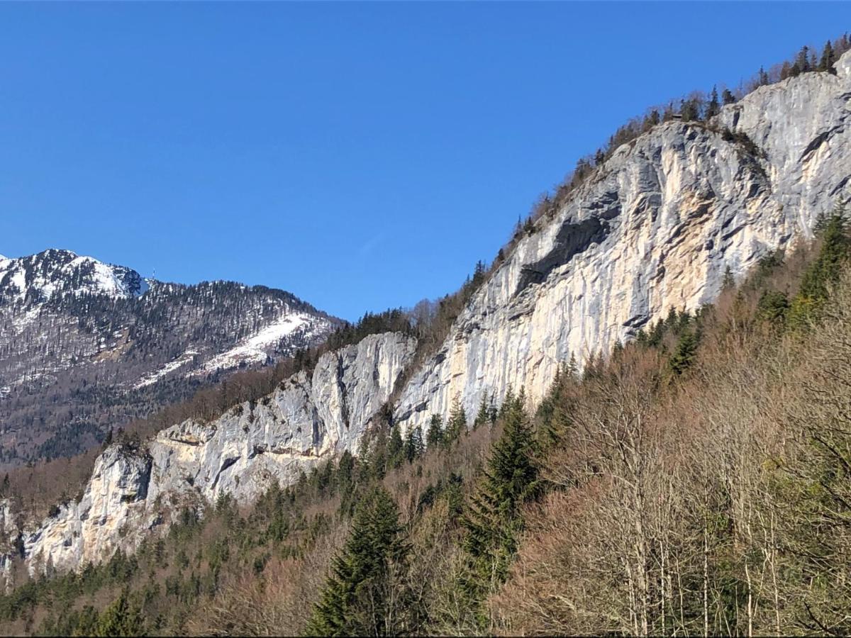 Apartment Goisernperle Bad Goisern Εξωτερικό φωτογραφία